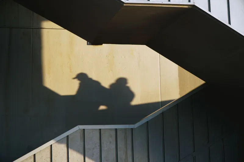 One Lab, Two Brains (Sort Of): Which Mouse Are You in the Group Chat?