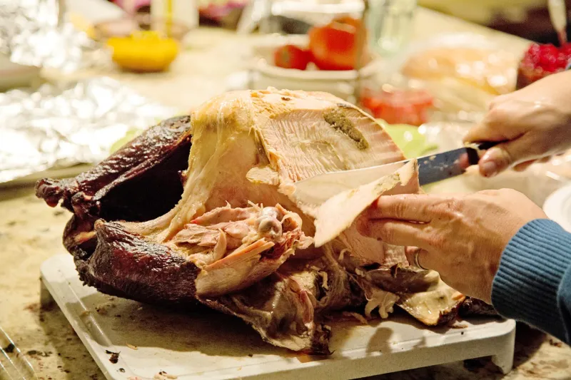 Pass the Gravy, Fulfill Your Destiny: The Great Thanksgiving Pinky-vs.-Brain Family Audit